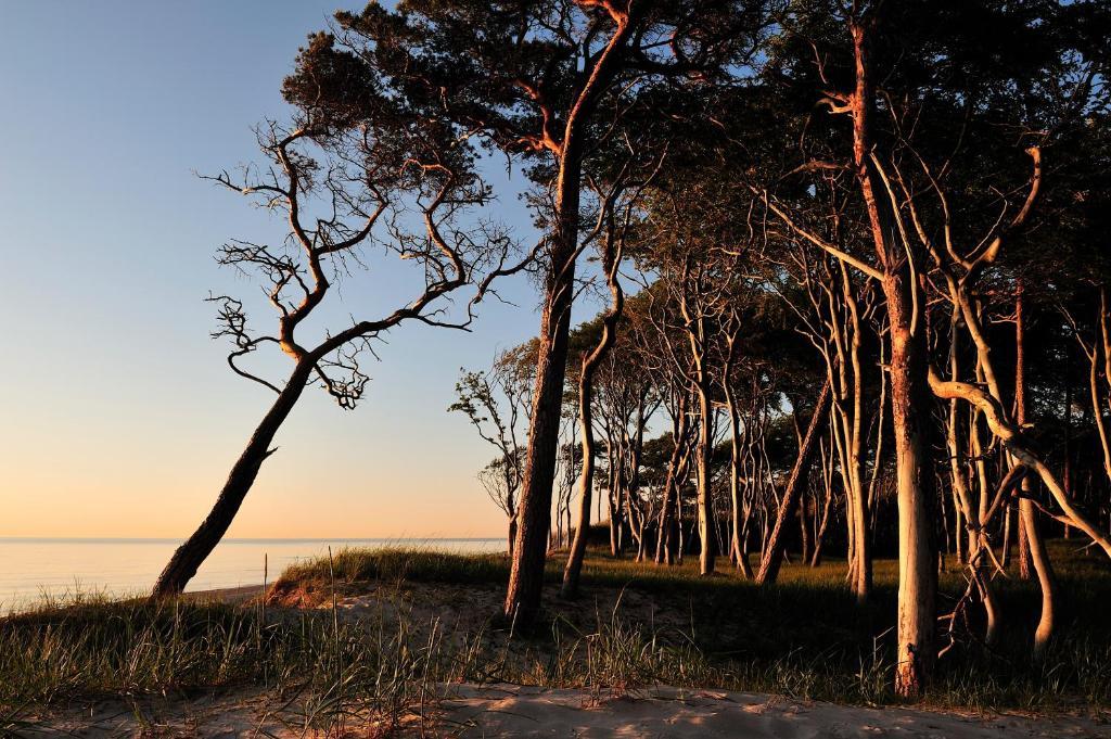 Hotel & Restaurant Seebruecke Zingst Δωμάτιο φωτογραφία